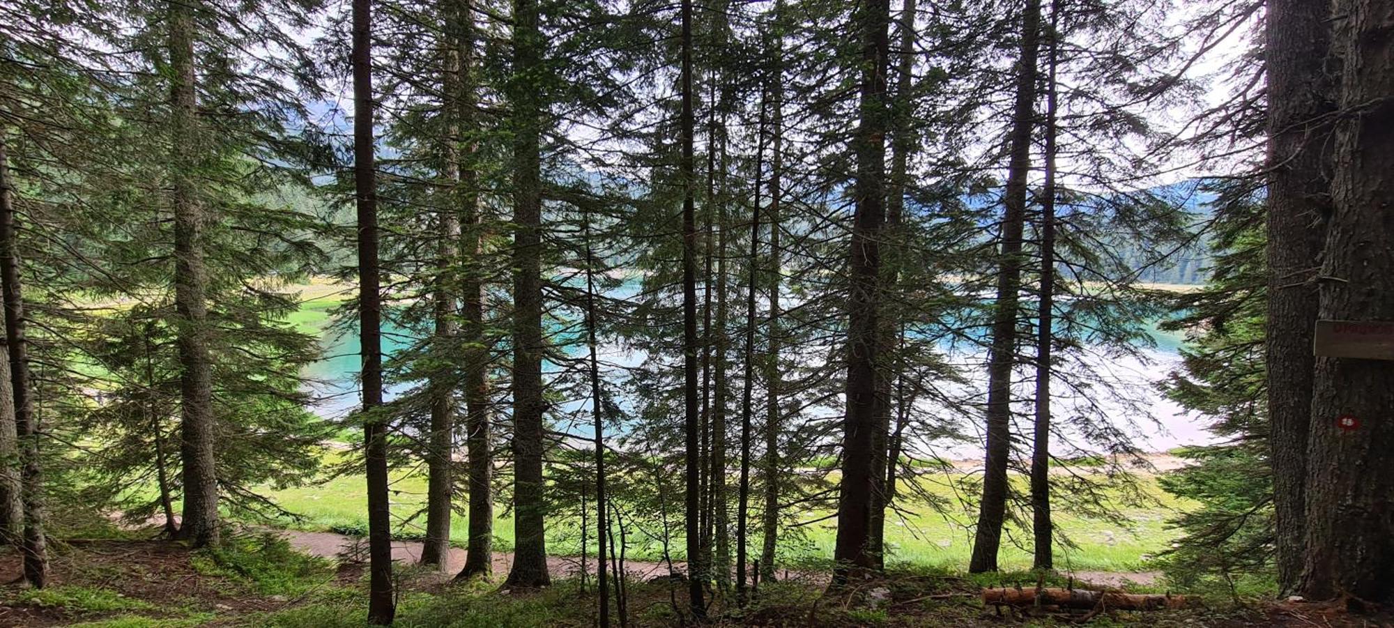 Mountain Villas Zabljak ภายนอก รูปภาพ